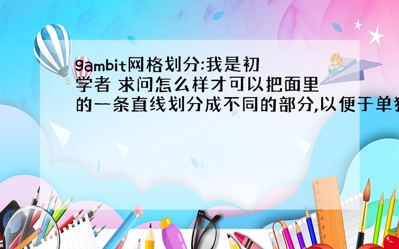 gambit网格划分:我是初学者 求问怎么样才可以把面里的一条直线划分成不同的部分,以便于单独定义边界?