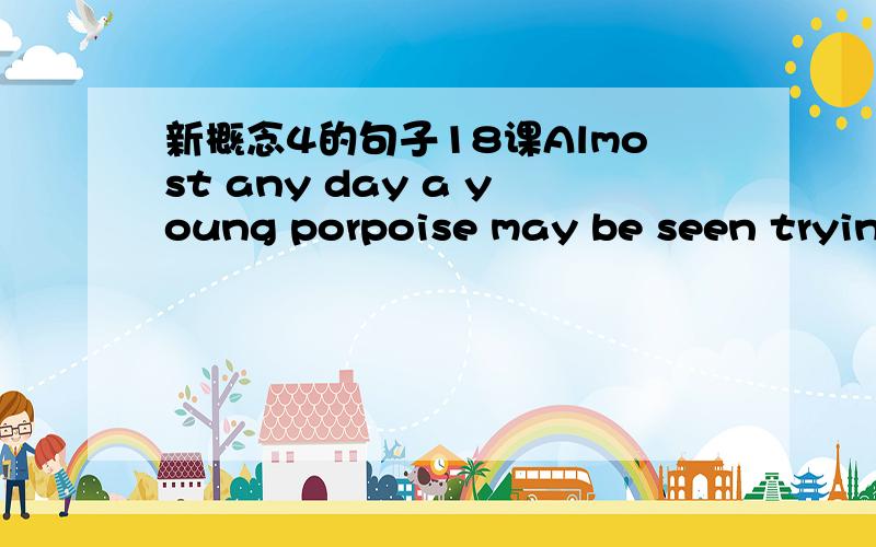 新概念4的句子18课Almost any day a young porpoise may be seen trying