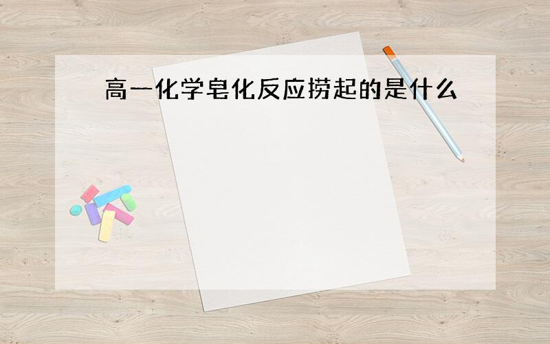 高一化学皂化反应捞起的是什么