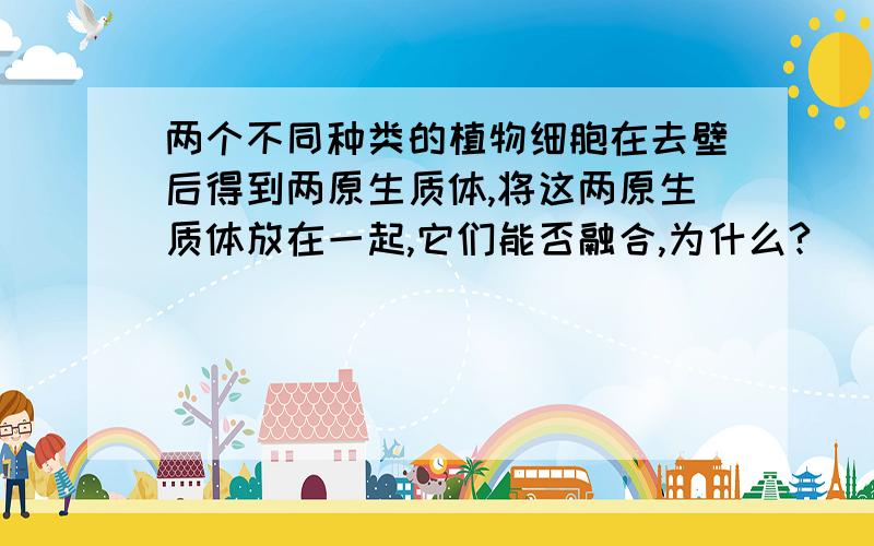 两个不同种类的植物细胞在去壁后得到两原生质体,将这两原生质体放在一起,它们能否融合,为什么?