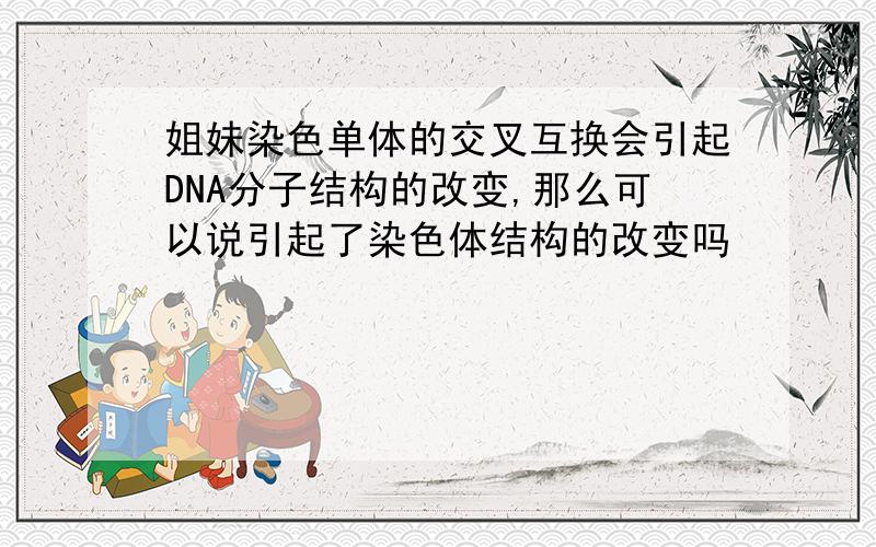 姐妹染色单体的交叉互换会引起DNA分子结构的改变,那么可以说引起了染色体结构的改变吗