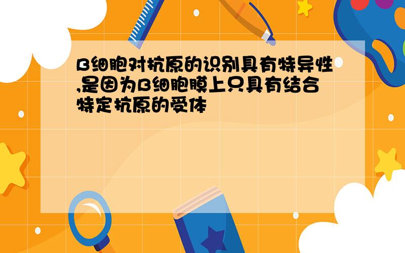 B细胞对抗原的识别具有特异性,是因为B细胞膜上只具有结合特定抗原的受体