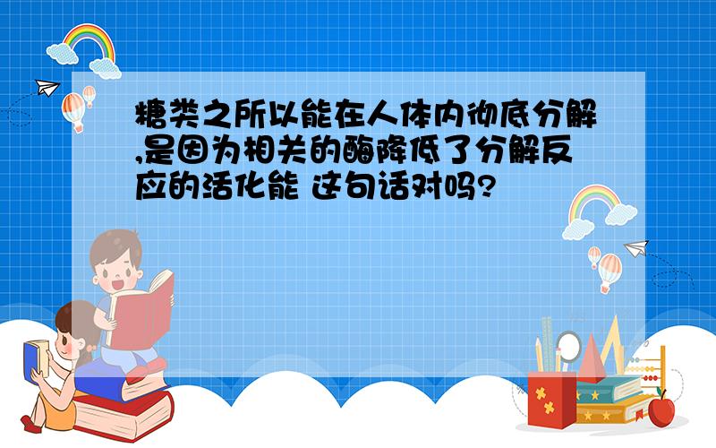 糖类之所以能在人体内彻底分解,是因为相关的酶降低了分解反应的活化能 这句话对吗?