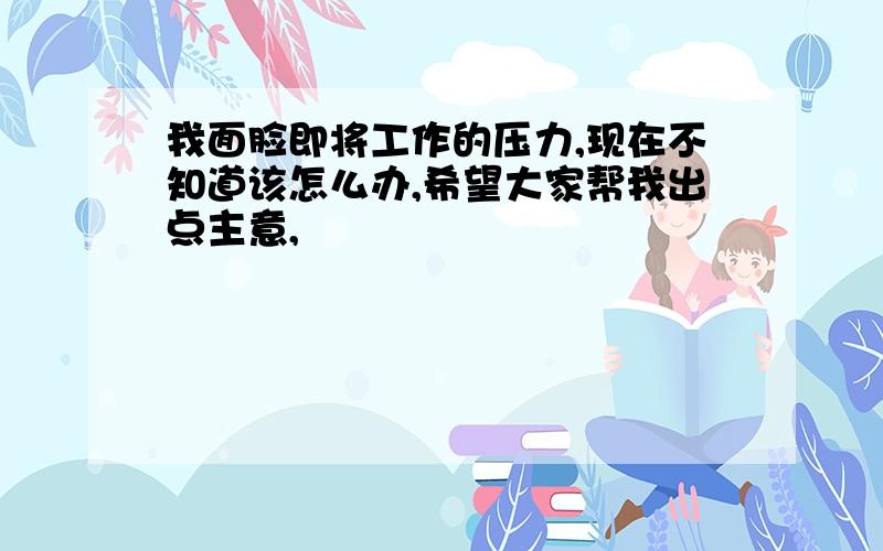 我面脸即将工作的压力,现在不知道该怎么办,希望大家帮我出点主意,