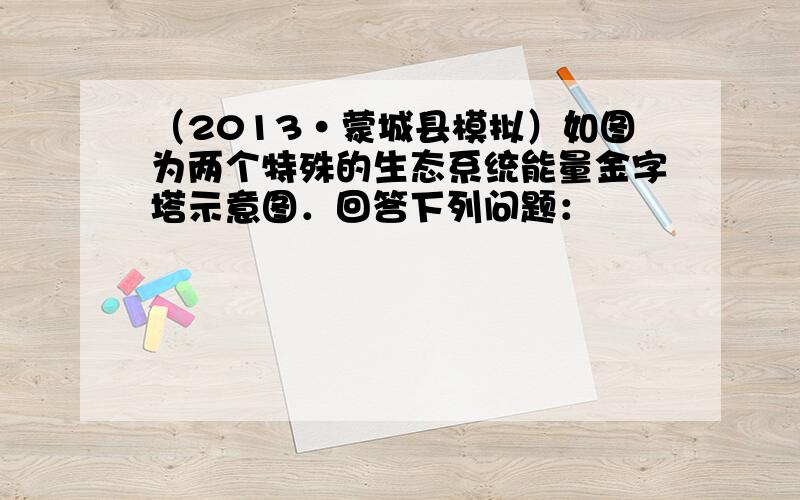 （2013•蒙城县模拟）如图为两个特殊的生态系统能量金字塔示意图．回答下列问题：