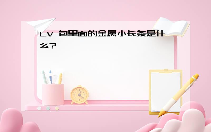 LV 包里面的金属小长条是什么?