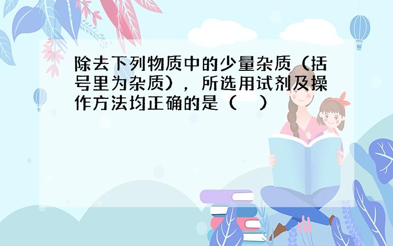 除去下列物质中的少量杂质（括号里为杂质），所选用试剂及操作方法均正确的是（　　）