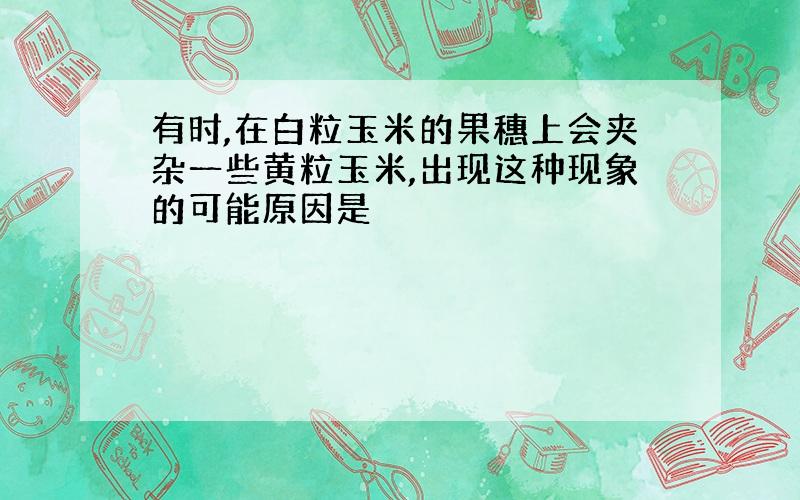 有时,在白粒玉米的果穗上会夹杂一些黄粒玉米,出现这种现象的可能原因是