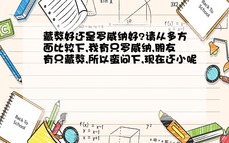 藏獒好还是罗威纳好?请从多方面比较下,我有只罗威纳,朋友有只藏獒,所以蛮问下,现在还小呢