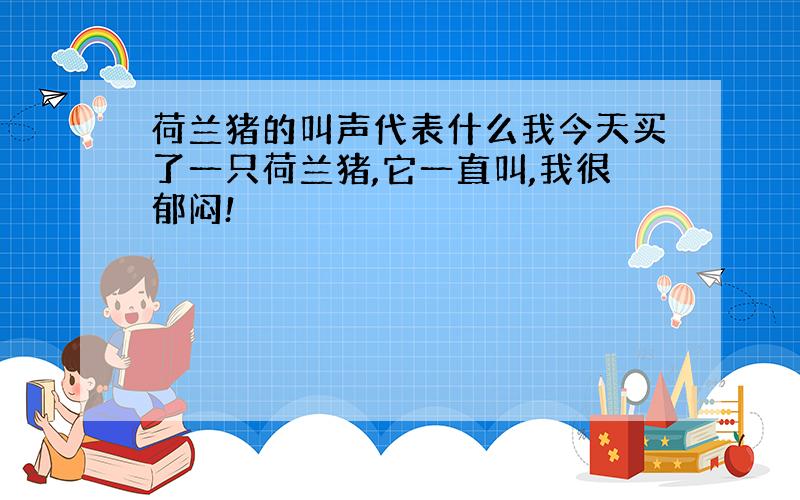 荷兰猪的叫声代表什么我今天买了一只荷兰猪,它一直叫,我很郁闷!