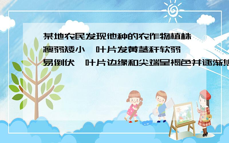 某地农民发现他种的农作物植株瘦弱矮小,叶片发黄茎秆软弱,易倒伏,叶片边缘和尖端呈褐色并逐渐焦枯,该农民种植的植物缺乏得是