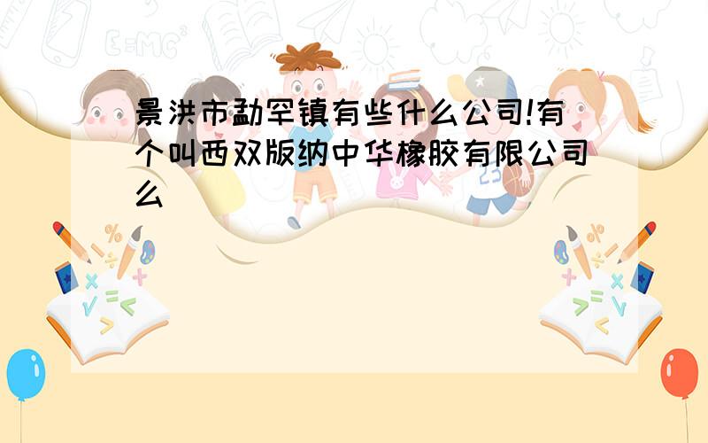 景洪市勐罕镇有些什么公司!有个叫西双版纳中华橡胶有限公司么