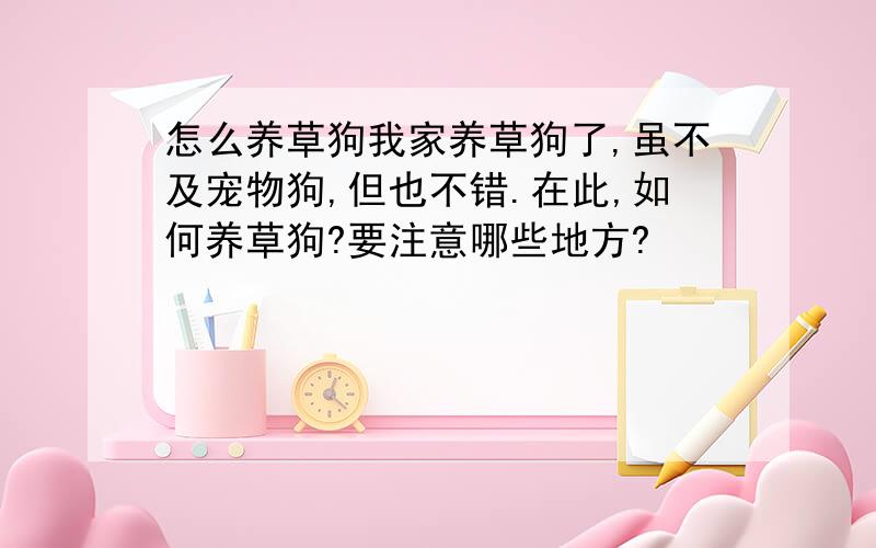 怎么养草狗我家养草狗了,虽不及宠物狗,但也不错.在此,如何养草狗?要注意哪些地方?