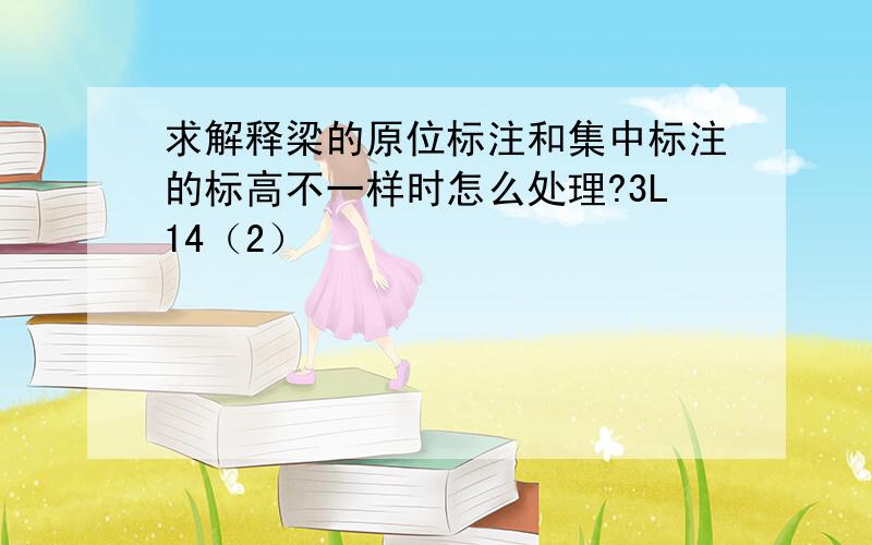 求解释梁的原位标注和集中标注的标高不一样时怎么处理?3L14（2）