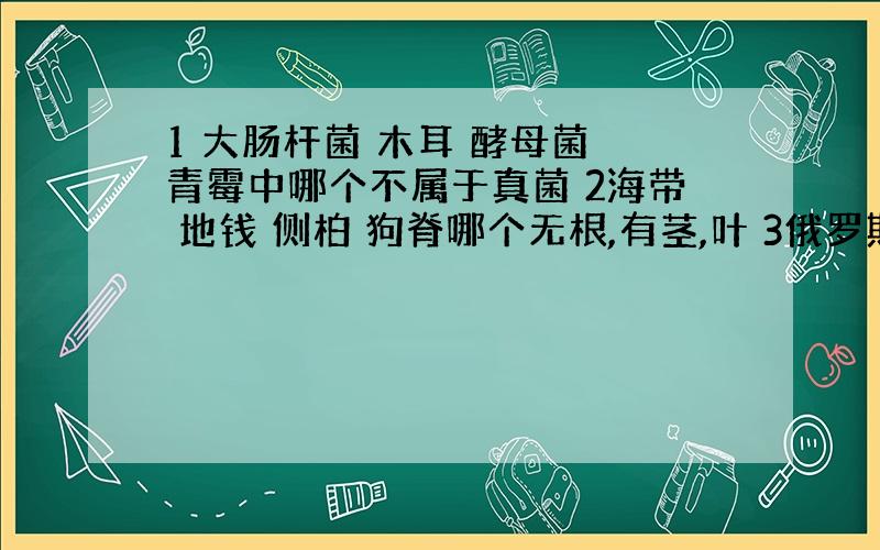 1 大肠杆菌 木耳 酵母菌 青霉中哪个不属于真菌 2海带 地钱 侧柏 狗脊哪个无根,有茎,叶 3俄罗斯属于哪个大洲