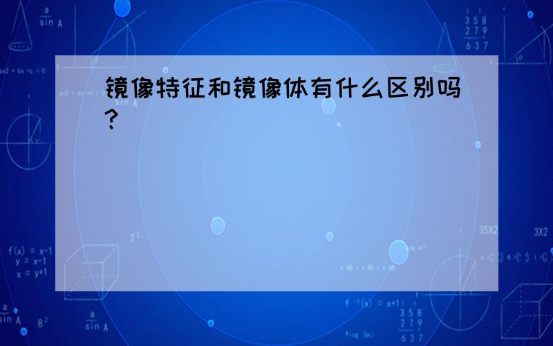 镜像特征和镜像体有什么区别吗?