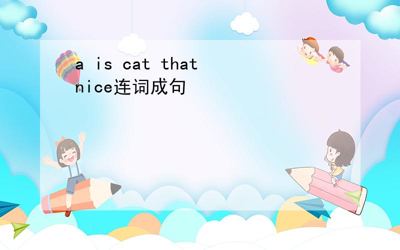 a is cat that nice连词成句