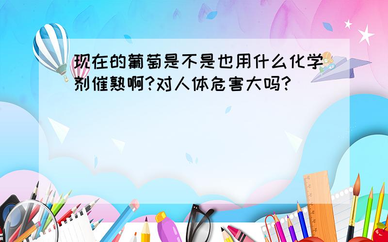 现在的葡萄是不是也用什么化学剂催熟啊?对人体危害大吗?