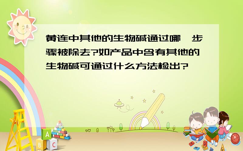 黄连中其他的生物碱通过哪一步骤被除去?如产品中含有其他的生物碱可通过什么方法检出?