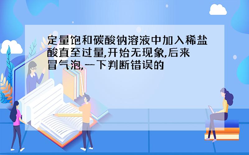 定量饱和碳酸钠溶液中加入稀盐酸直至过量,开始无现象,后来冒气泡,一下判断错误的