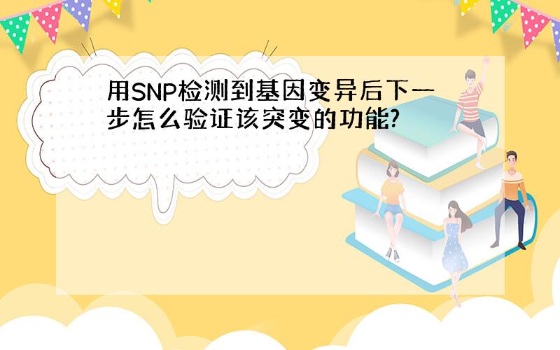 用SNP检测到基因变异后下一步怎么验证该突变的功能?