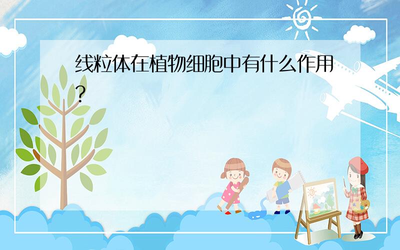 线粒体在植物细胞中有什么作用?