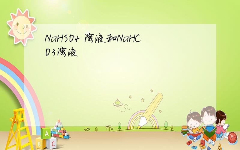 NaHSO4 溶液和NaHCO3溶液