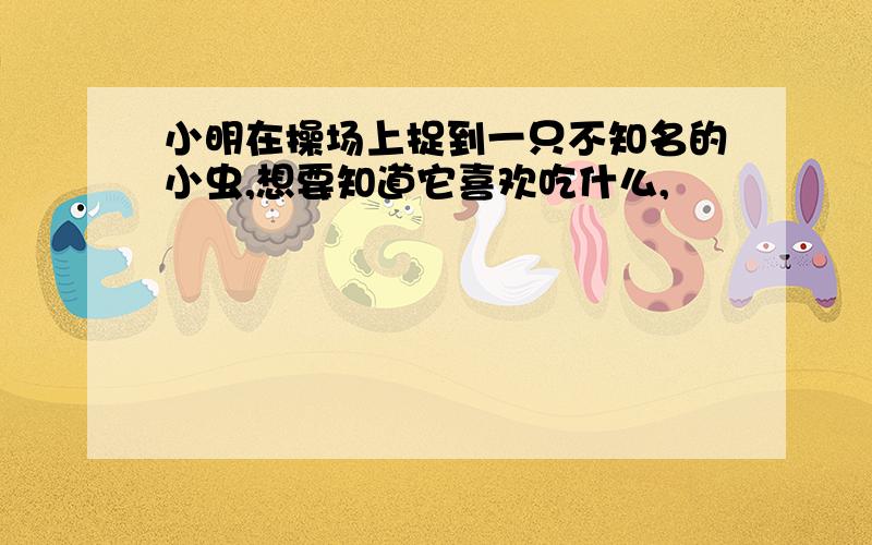 小明在操场上捉到一只不知名的小虫,想要知道它喜欢吃什么,