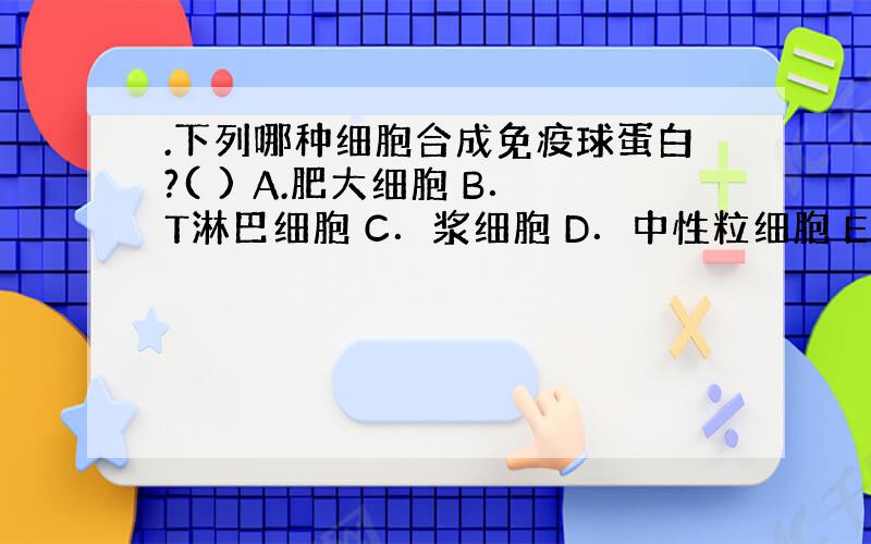 .下列哪种细胞合成免疫球蛋白?( ) A.肥大细胞 B．T淋巴细胞 C．浆细胞 D．中性粒细胞 E．嗜酸性粒细胞