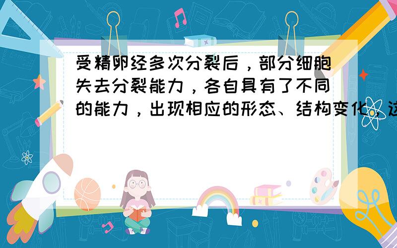 受精卵经多次分裂后，部分细胞失去分裂能力，各自具有了不同的能力，出现相应的形态、结构变化，这一过程叫（　　）