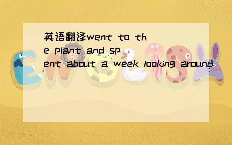 英语翻译went to the plant and spent about a week looking around