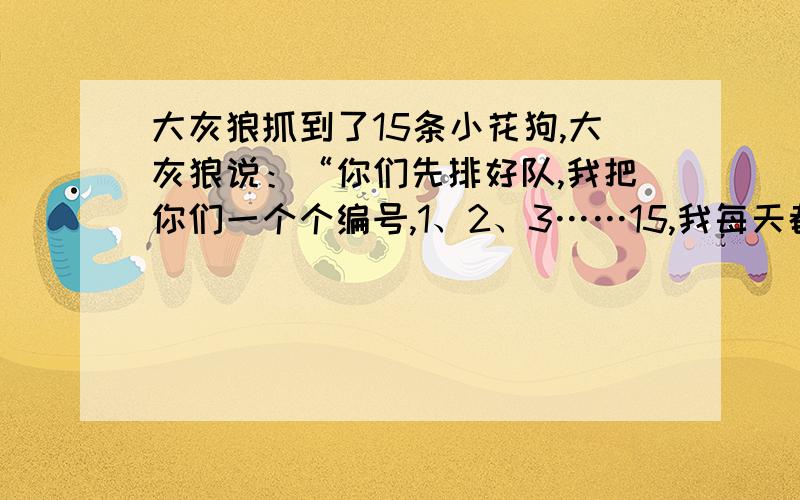 大灰狼抓到了15条小花狗,大灰狼说：“你们先排好队,我把你们一个个编号,1、2、3……15,我每天都是先吃第一条,以后每