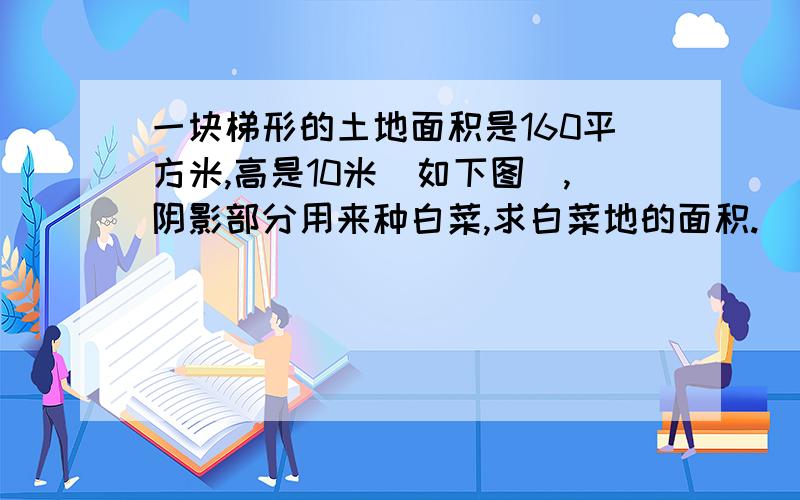 一块梯形的土地面积是160平方米,高是10米（如下图）,阴影部分用来种白菜,求白菜地的面积.