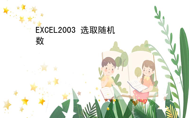 EXCEL2003 选取随机数