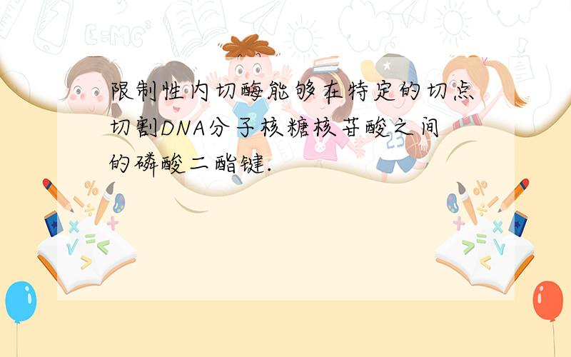 限制性内切酶能够在特定的切点切割DNA分子核糖核苷酸之间的磷酸二酯键.