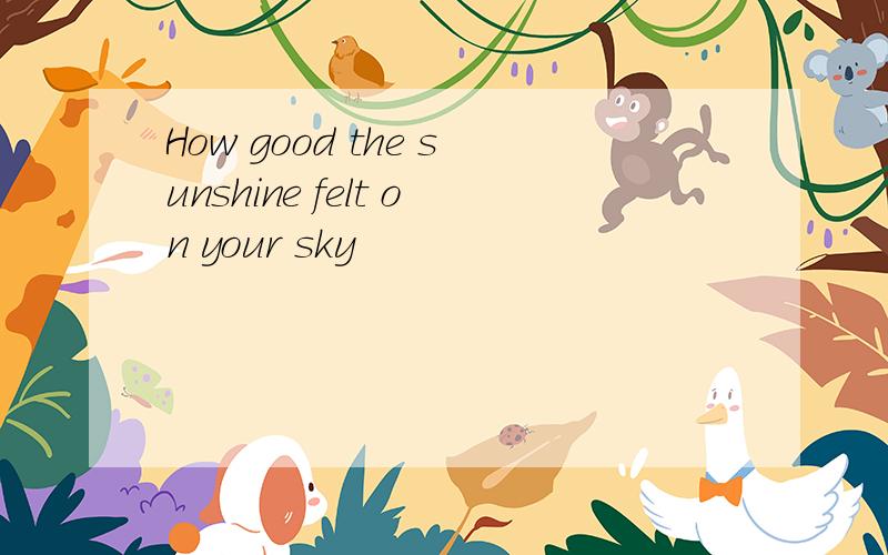 How good the sunshine felt on your sky