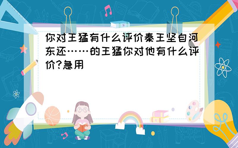 你对王猛有什么评价秦王坚自河东还……的王猛你对他有什么评价?急用