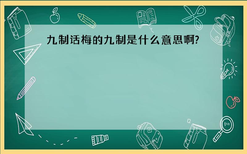 九制话梅的九制是什么意思啊?