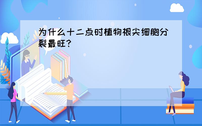 为什么十二点时植物根尖细胞分裂最旺?