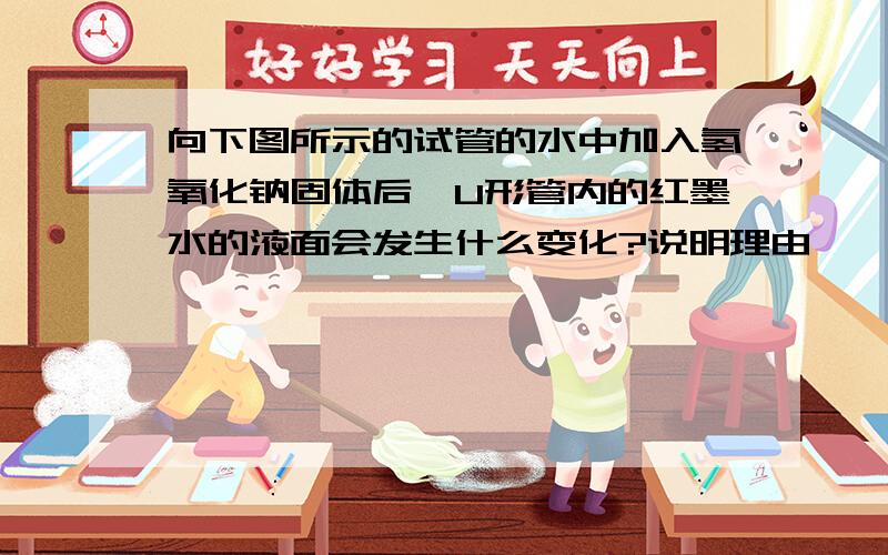 向下图所示的试管的水中加入氢氧化钠固体后,U形管内的红墨水的液面会发生什么变化?说明理由