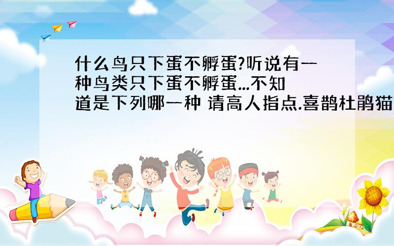 什么鸟只下蛋不孵蛋?听说有一种鸟类只下蛋不孵蛋...不知道是下列哪一种 请高人指点.喜鹊杜鹃猫头鹰