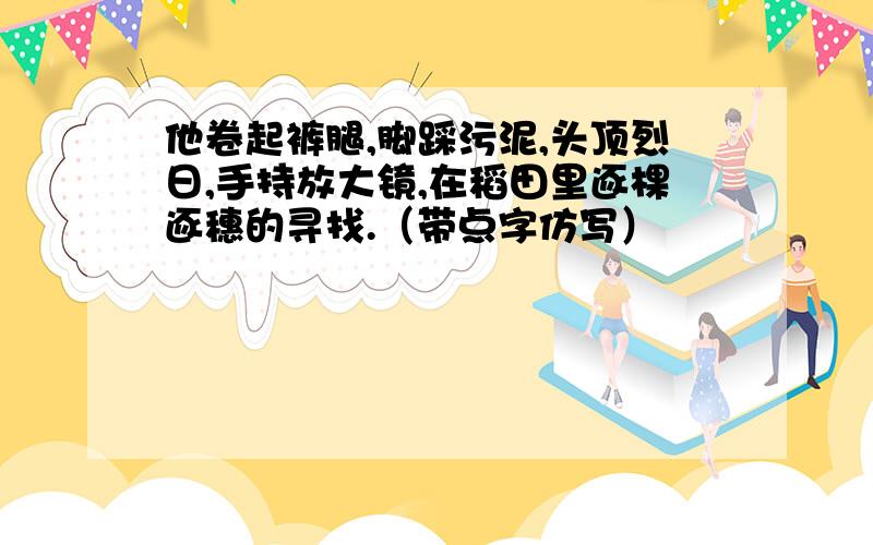 他卷起裤腿,脚踩污泥,头顶烈日,手持放大镜,在稻田里逐棵逐穗的寻找.（带点字仿写）