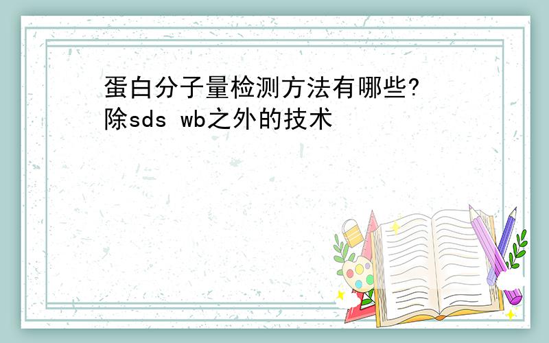 蛋白分子量检测方法有哪些? 除sds wb之外的技术