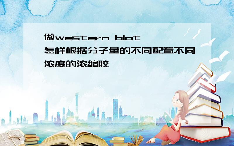 做western blot,怎样根据分子量的不同配置不同浓度的浓缩胶