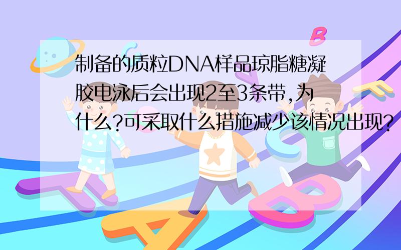 制备的质粒DNA样品琼脂糖凝胶电泳后会出现2至3条带,为什么?可采取什么措施减少该情况出现?