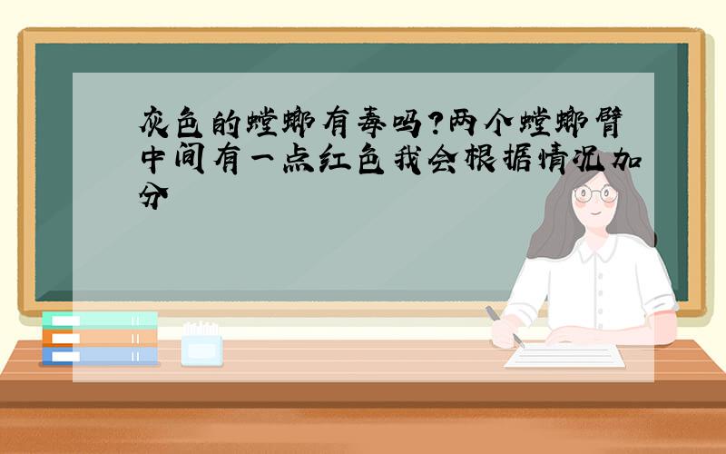 灰色的螳螂有毒吗?两个螳螂臂中间有一点红色我会根据情况加分