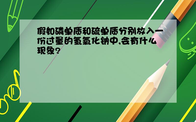 假如磷单质和硫单质分别放入一份过量的氢氧化钠中,会有什么现象?