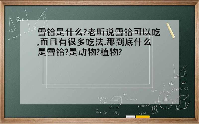 雪铪是什么?老听说雪铪可以吃,而且有很多吃法.那到底什么是雪铪?是动物?植物?