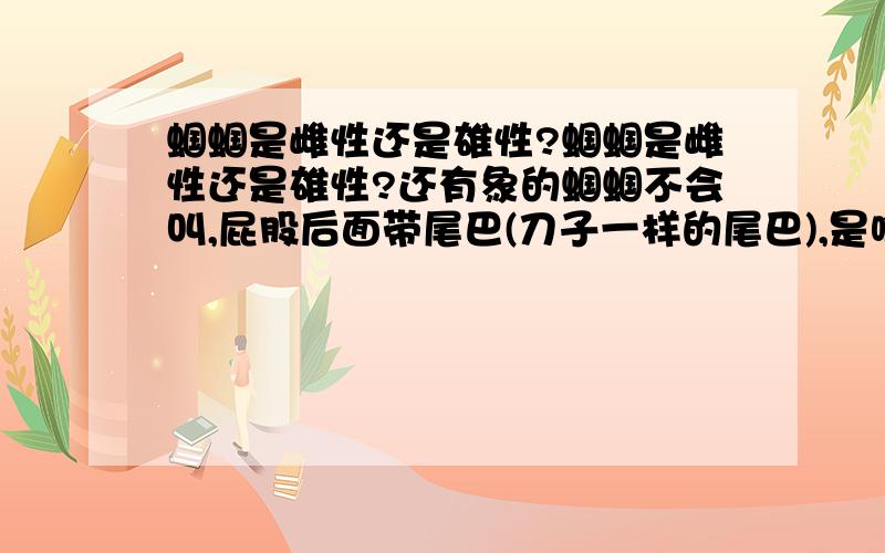 蝈蝈是雌性还是雄性?蝈蝈是雌性还是雄性?还有象的蝈蝈不会叫,屁股后面带尾巴(刀子一样的尾巴),是啥昆虫?不会叫的蝈蝈,屁