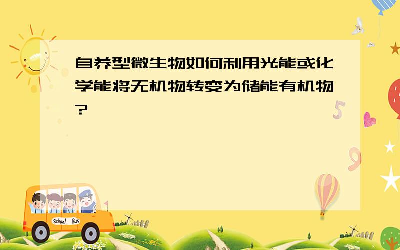 自养型微生物如何利用光能或化学能将无机物转变为储能有机物?